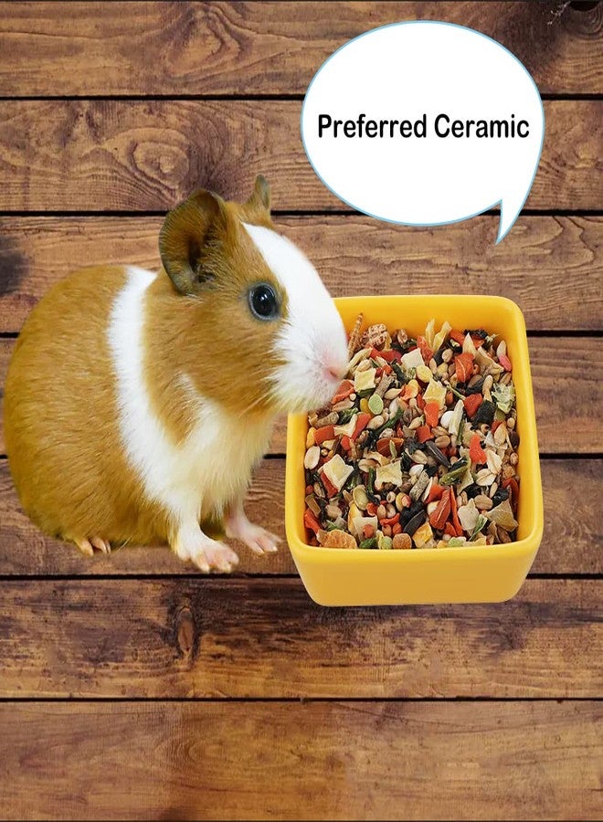 DQITJ 2 Pcs Pet Ceramic Food Bowl and Water Dish Feeder for Guinea Pig Hedgehog Squirrel Small Animals - Image 2